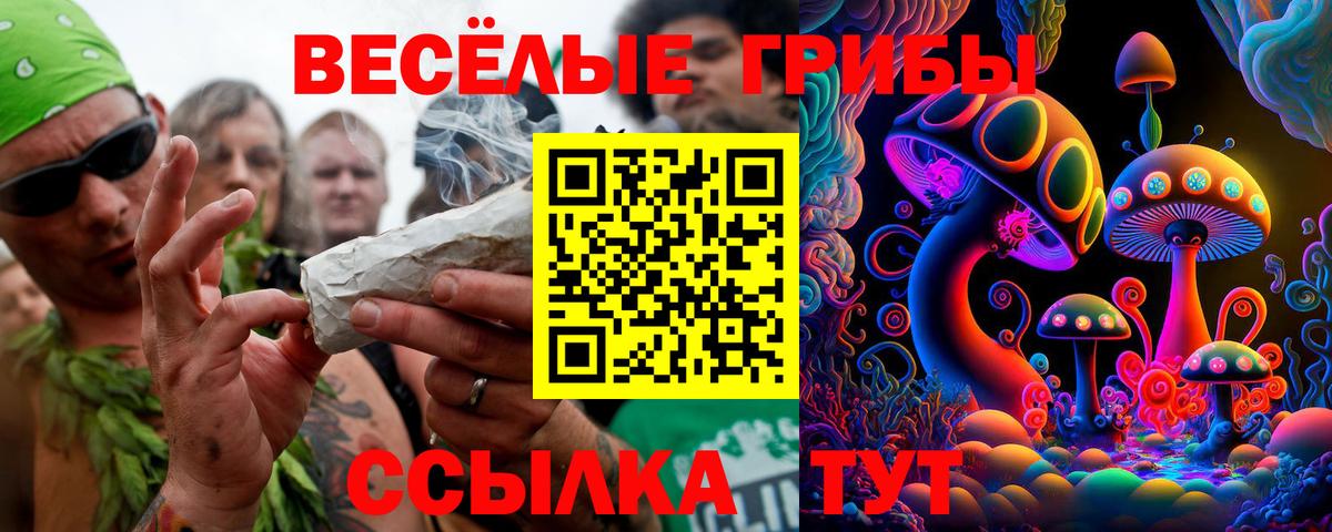 Псилоцибиновые грибы MAGIC MUSHROOMS Чусовой